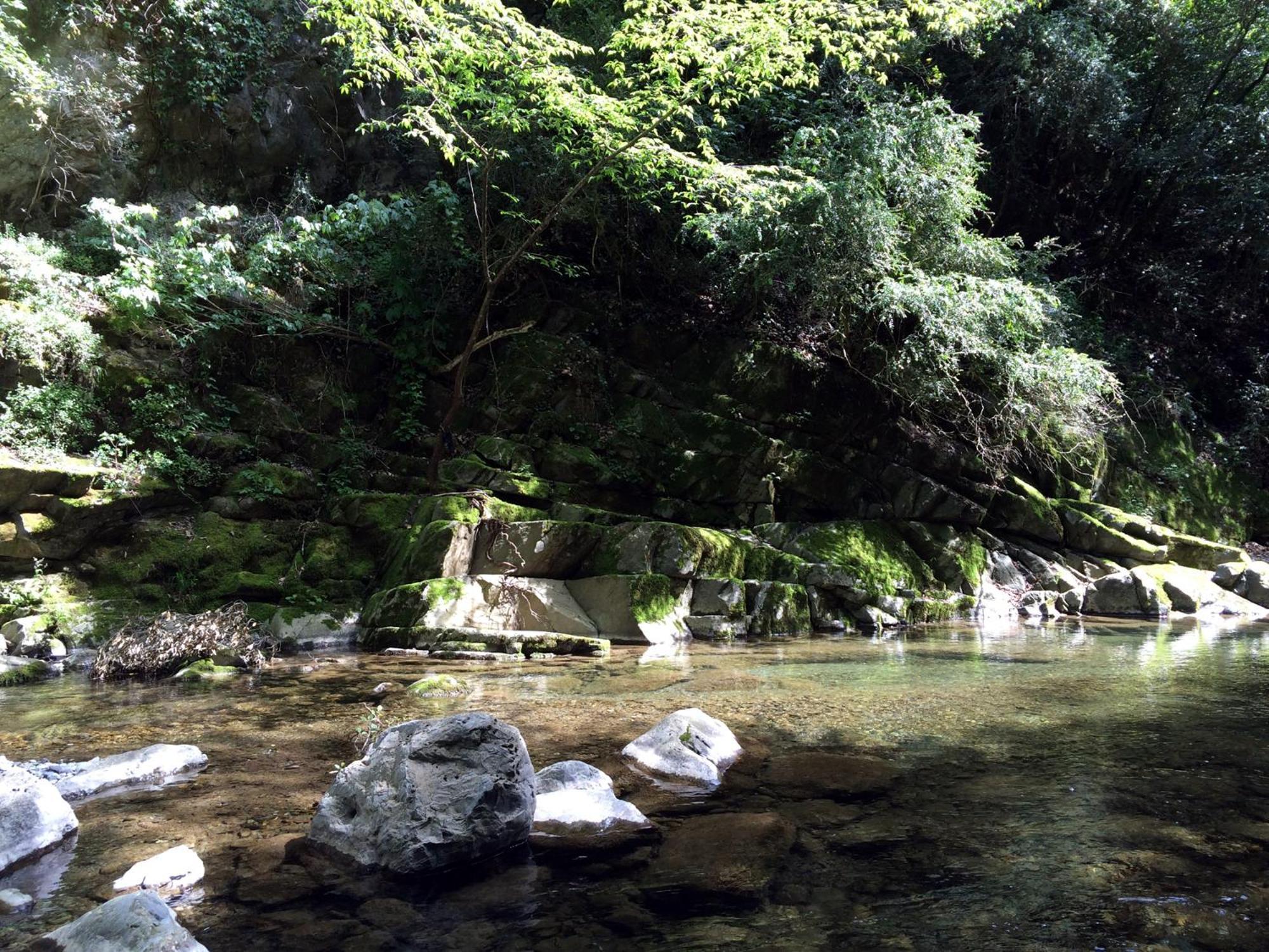 Camping Domaine Sainte Madeleine ソスペル エクステリア 写真